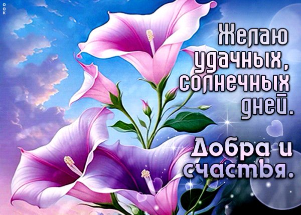 Желаю от души