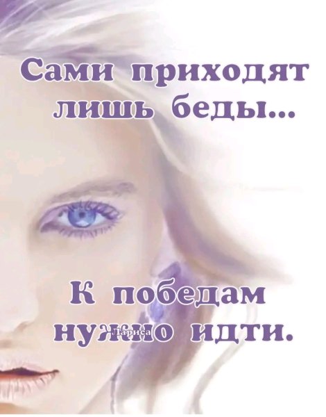 file_101312698