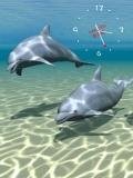 Delfins