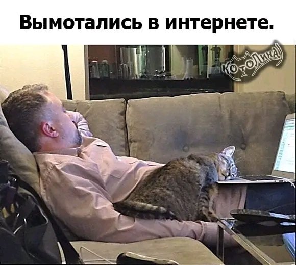 file_95606753