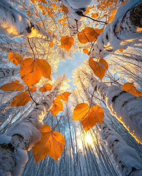 file_98568162
