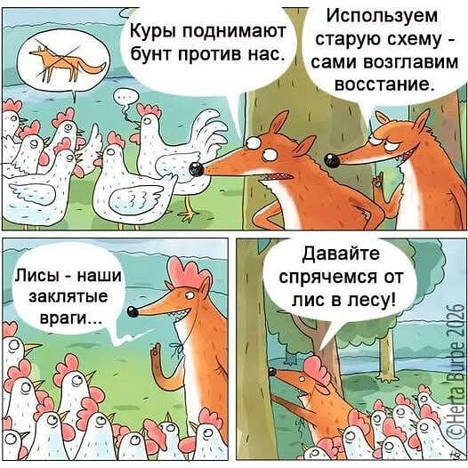 IMG 20260502 045733