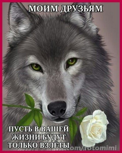 E3olpPQV7Xw