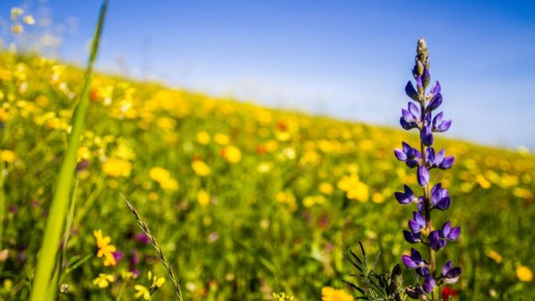 file_82272320