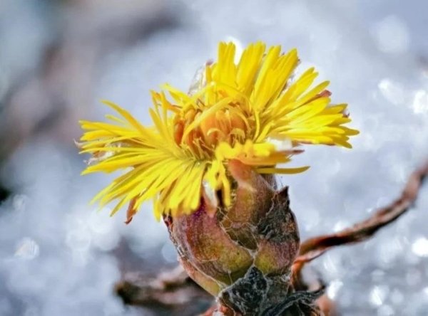 IMG 20260324 214619 135