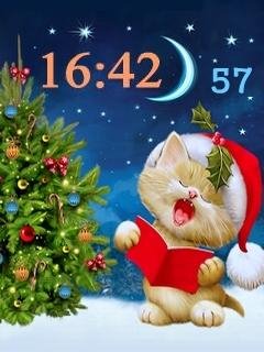 CAT N Y