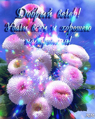 доброго вечера 000227