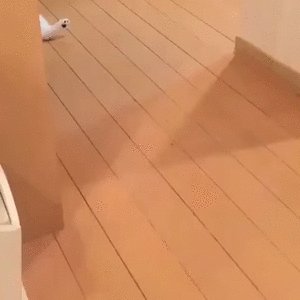 c699eca5a0f9933633c6e9b3a68aa929a0108fbe8c5c310a2b8485f89