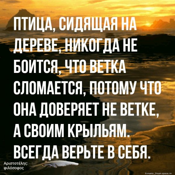 a6e8b15f7f80b525a591eab3643f-