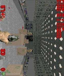 rlmchaos