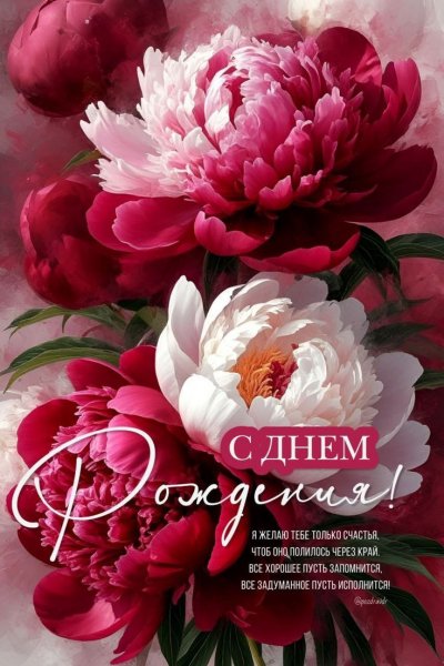 IMG 20250713 145253 607