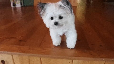 de15f2cde47fae17af94f78705c92ac74e78c0cd