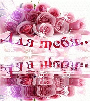 final 1848696123