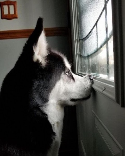 IMG 20200716 184716 516