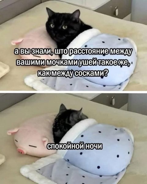 FB IMG 1776446854514