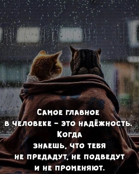 FB IMG 1752514616029