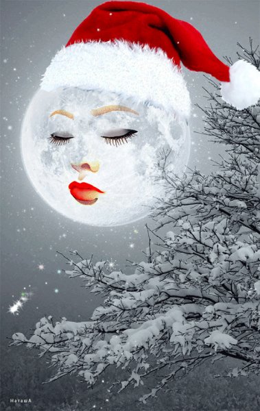file_71833659
