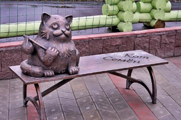 Кот Семён