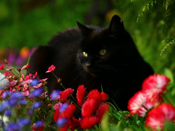 file_76803281