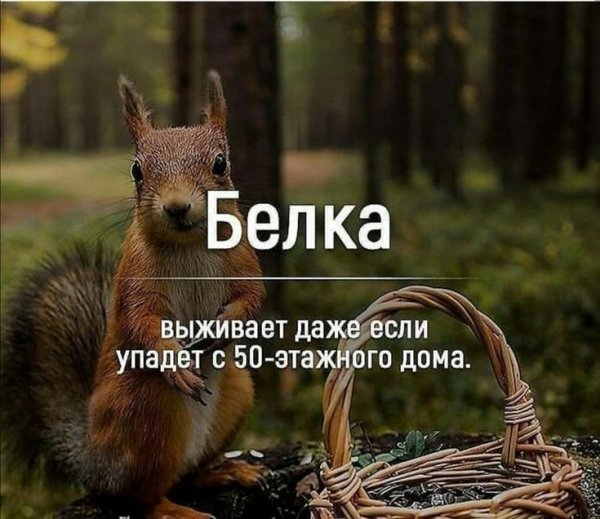 B8b496190c5d7da91f8692afd8bd2019