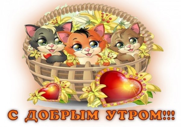 с добрым утром
