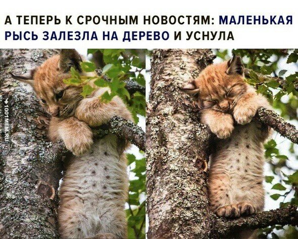 Image20180731074016990