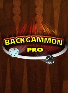 Backgammon Pro 240x400 Asha305