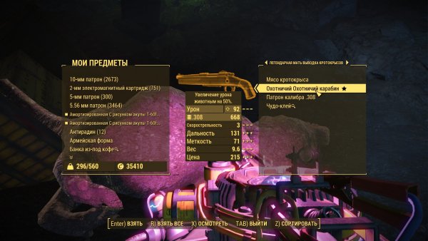 Fallout4 2020-01-23 17-03-43-717