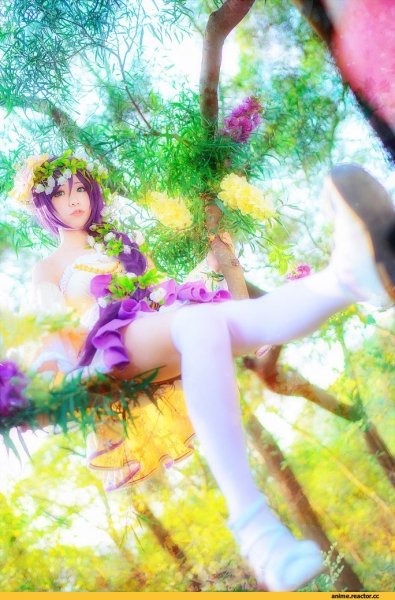Cosplay-to Anime-Love-Live!-Toujou-Nozomi