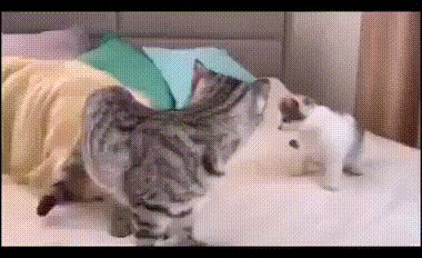 Где взять такие нервы?