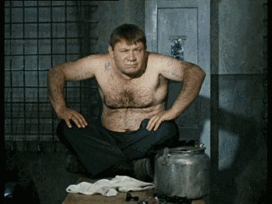 IMG 20151108 072909 11