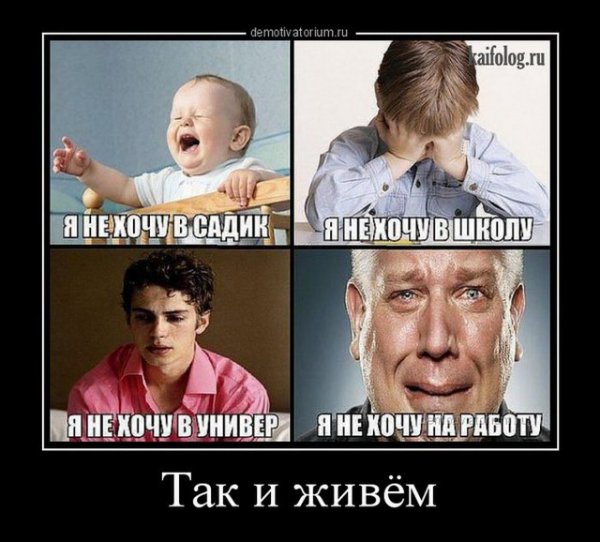 file_64692848