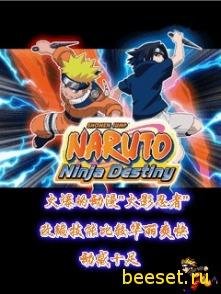 Naruto Ninja Destine