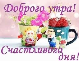 IMG 20181127 052141