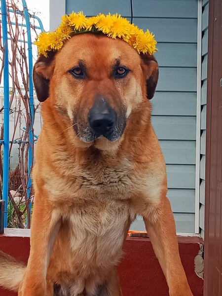 EDXFXGDVHFCDFRJYTQSVU