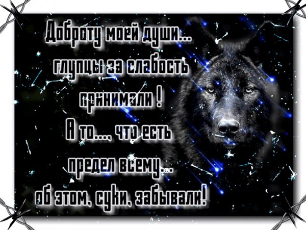 Не то слово