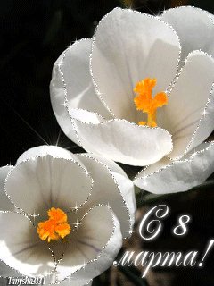 file_14484395