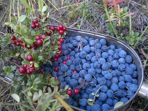 IMG 20150907 163248 41