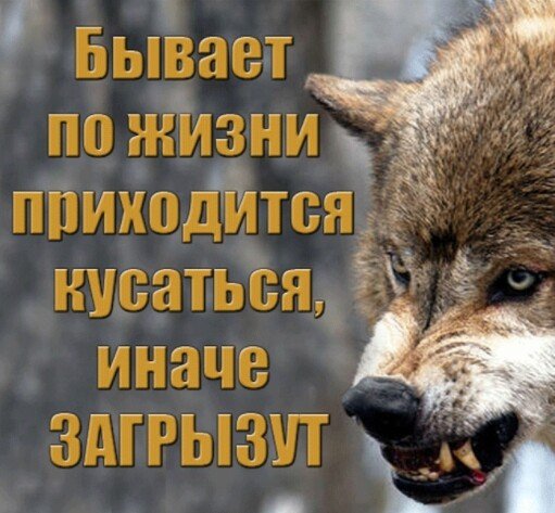 Иначе загрызут