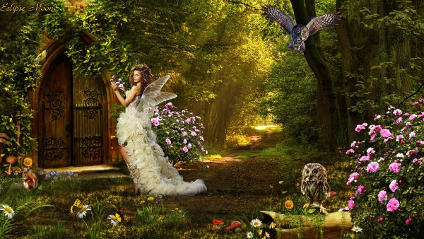 девушка фея в сказочном лесу