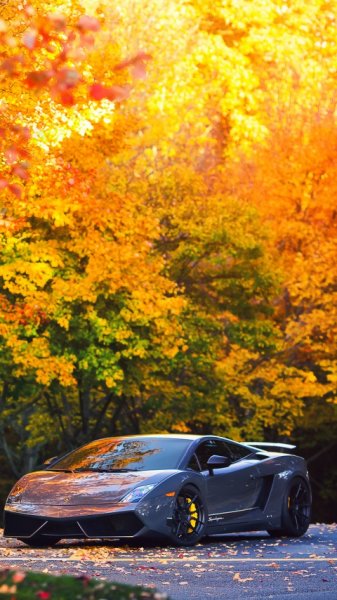 wallpaper 480x854 8 58