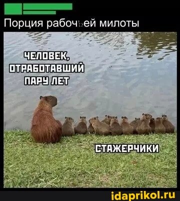 7cb06f18bf2cf1aeef81f7702ede3579255cee2aeaa4ac1 1