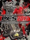 pes2013 240x320
