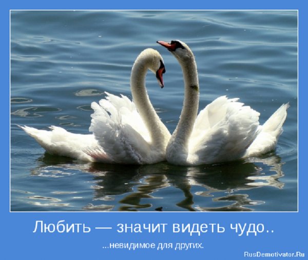 Любить значит видеть...
