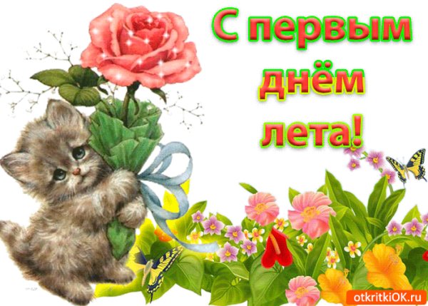file_96825712