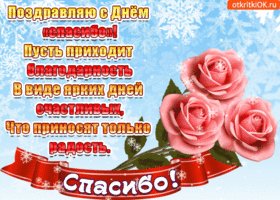 s-dnem-spasibo-pust-prikhodit-blagodarnost-51097-3001938