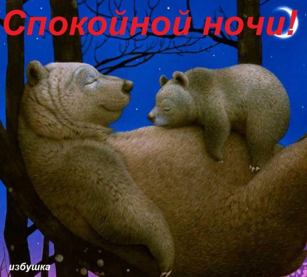 file_71251779