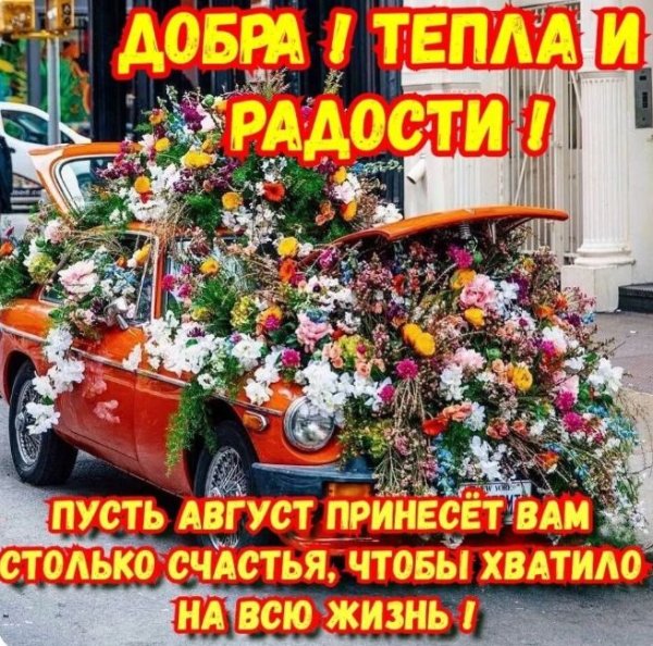 Screenshot 20250820-062722