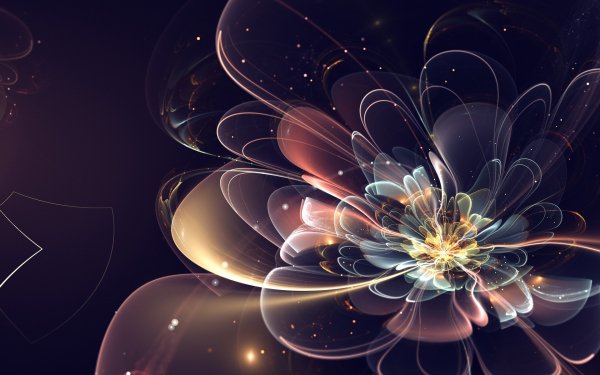 Wallpapers 902