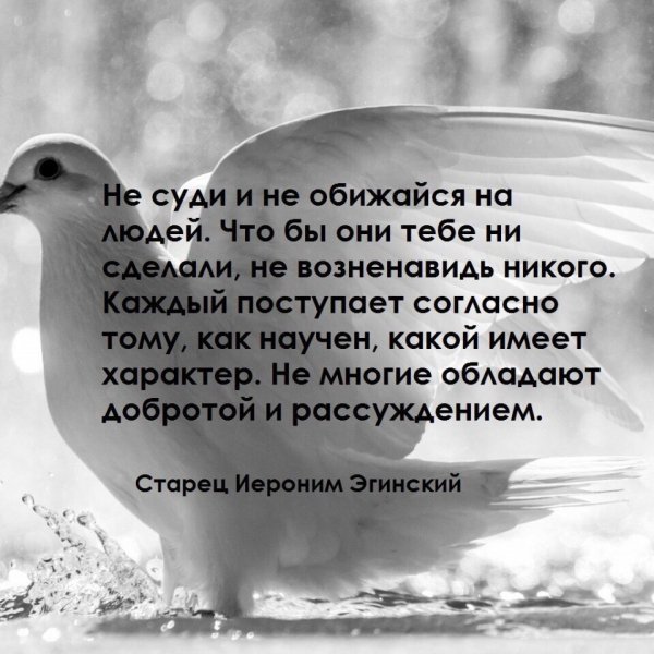 Не суди